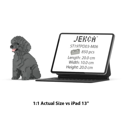 Chien Caniche Nain assis gris