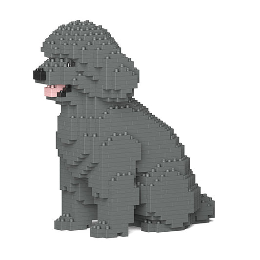 Chien Caniche Nain assis gris