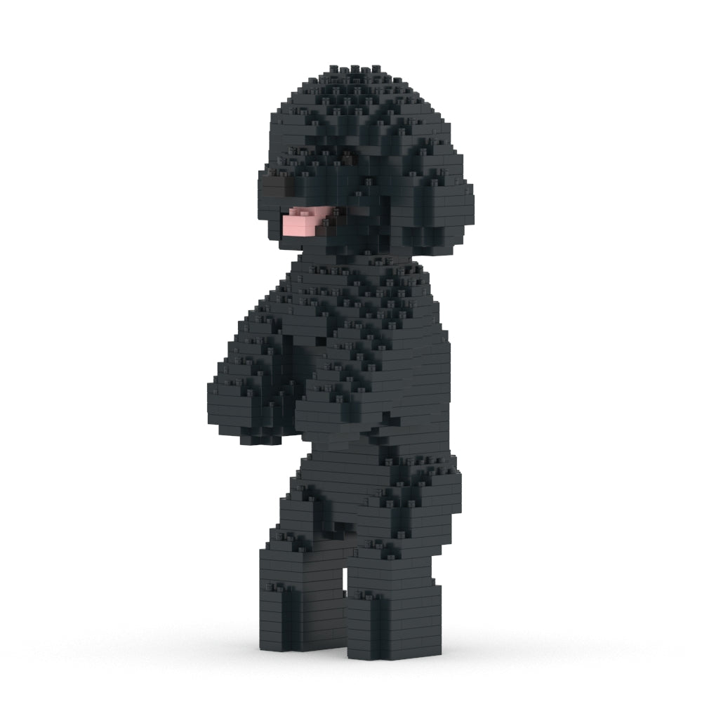 Chien Caniche Nain debout noir