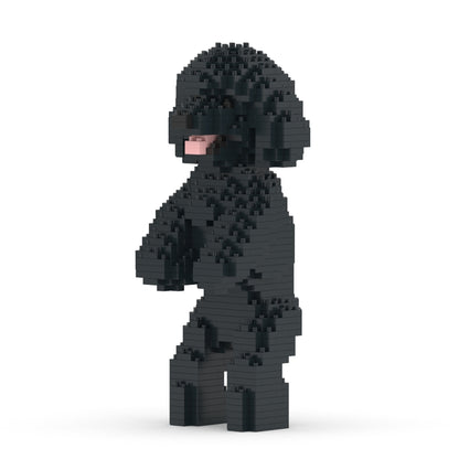 Chien Caniche Nain debout noir