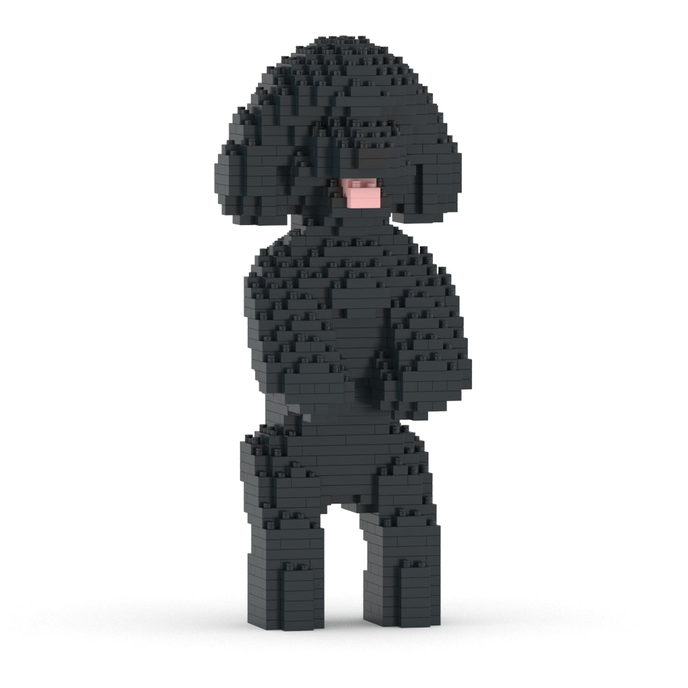 Chien Caniche Nain debout noir