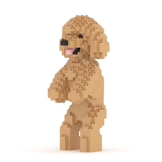 Chien Caniche Nain debout beige