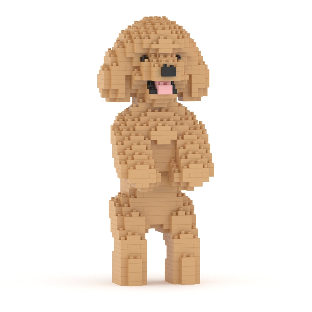 Chien Caniche Nain debout beige
