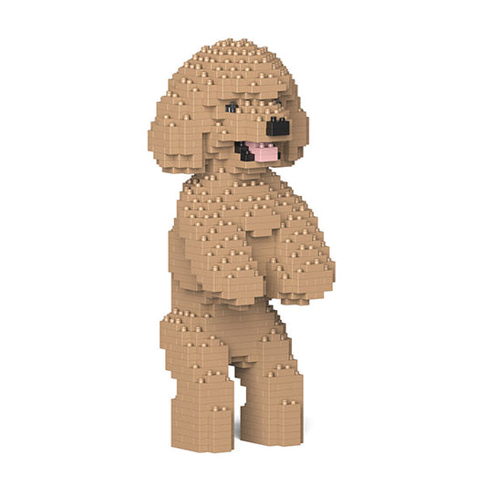Chien Caniche Nain debout beige