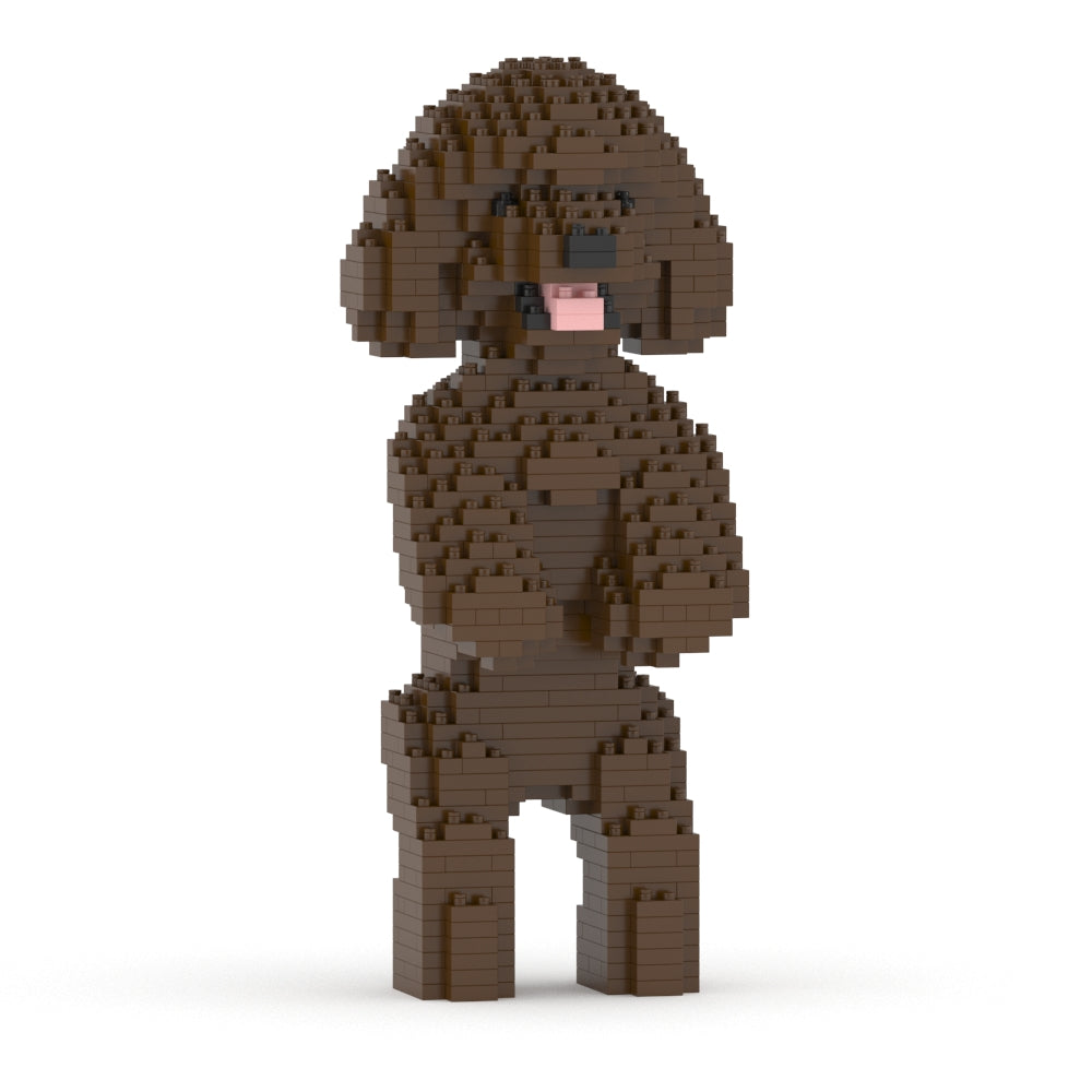 Chien Caniche Nain debout marron