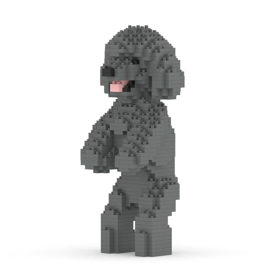 Chien Caniche Nain debout gris