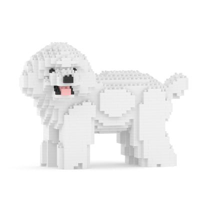 Chien Caniche Nain qui tourne la tête blanc