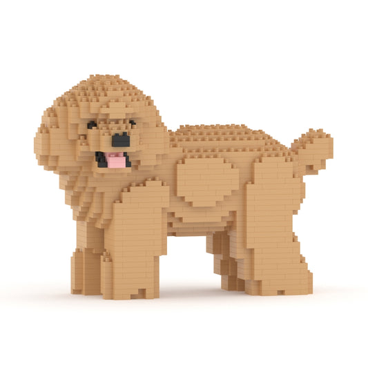 Chien Caniche Nain qui tourne la tête beige