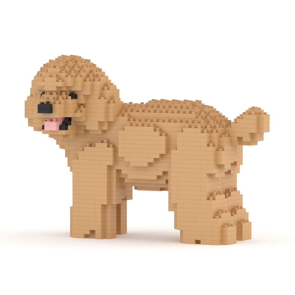 Chien Caniche Nain qui tourne la tête beige