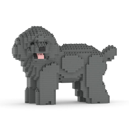 Chien Caniche Nain qui tourne la tête gris