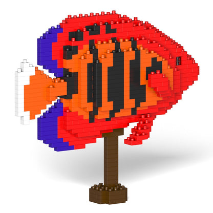 Poisson Ange flamme nain