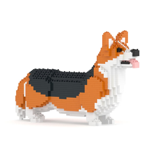 Chien Welsh Corgi roux et noir