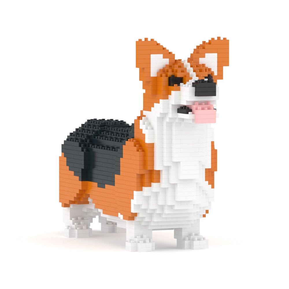 Chien Welsh Corgi roux et noir