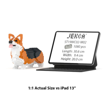 Chien Welsh Corgi roux et noir