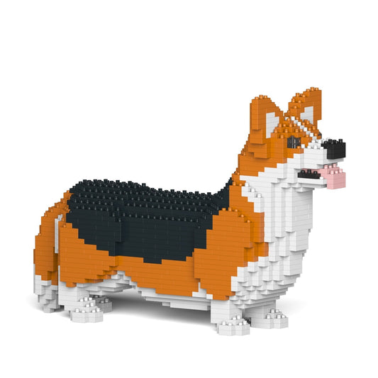 Chien Welsh Corgi roux et noir