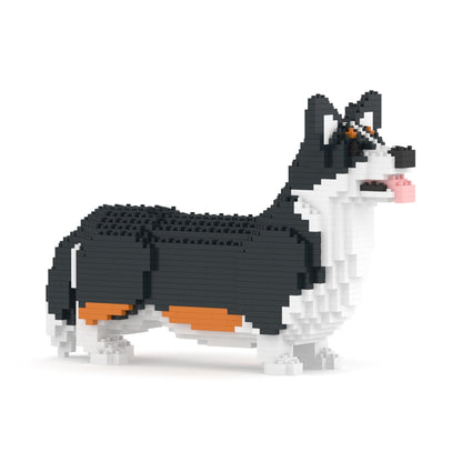 Chien Welsh Corgi noir