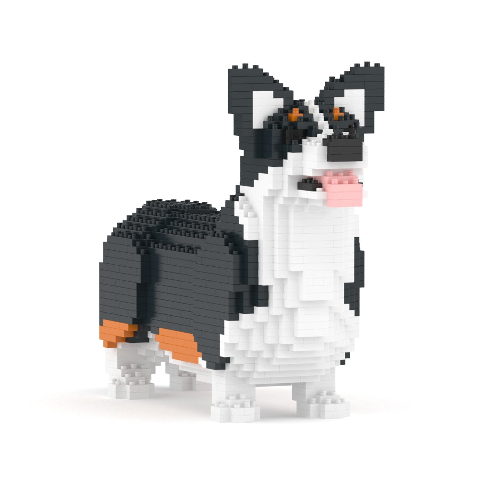 Chien Welsh Corgi noir