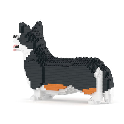 Chien Welsh Corgi noir
