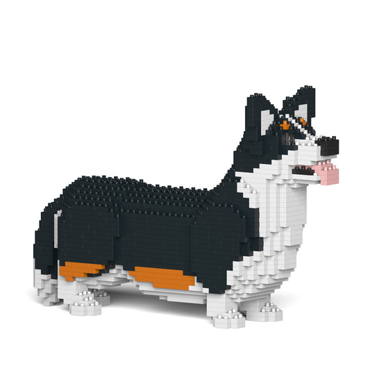 Chien Welsh Corgi noir