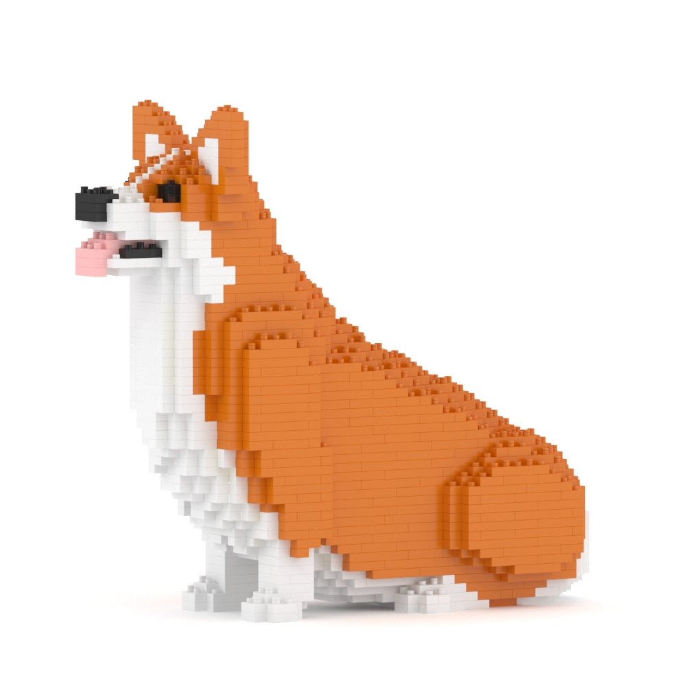 Chien Welsh Corgi assis roux