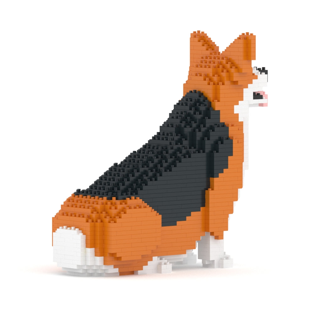 Chien Welsh Corgi assis roux et noir