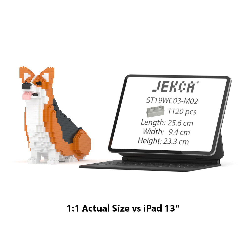 Chien Welsh Corgi assis roux et noir