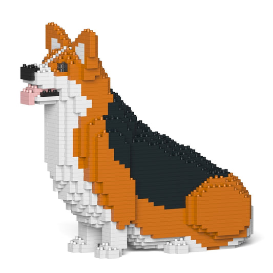 Chien Welsh Corgi assis roux et noir