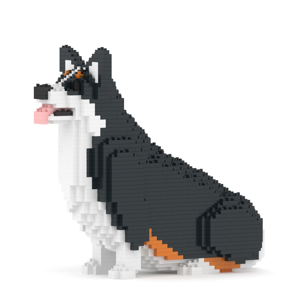 Chien Welsh Corgi assis noir