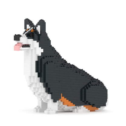 Chien Welsh Corgi assis noir