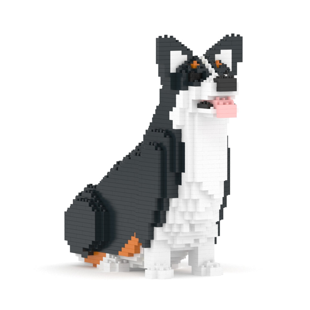 Chien Welsh Corgi assis noir