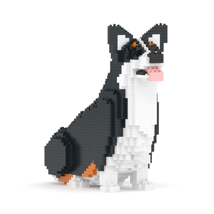 Chien Welsh Corgi assis noir