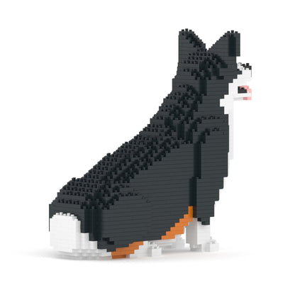 Chien Welsh Corgi assis noir