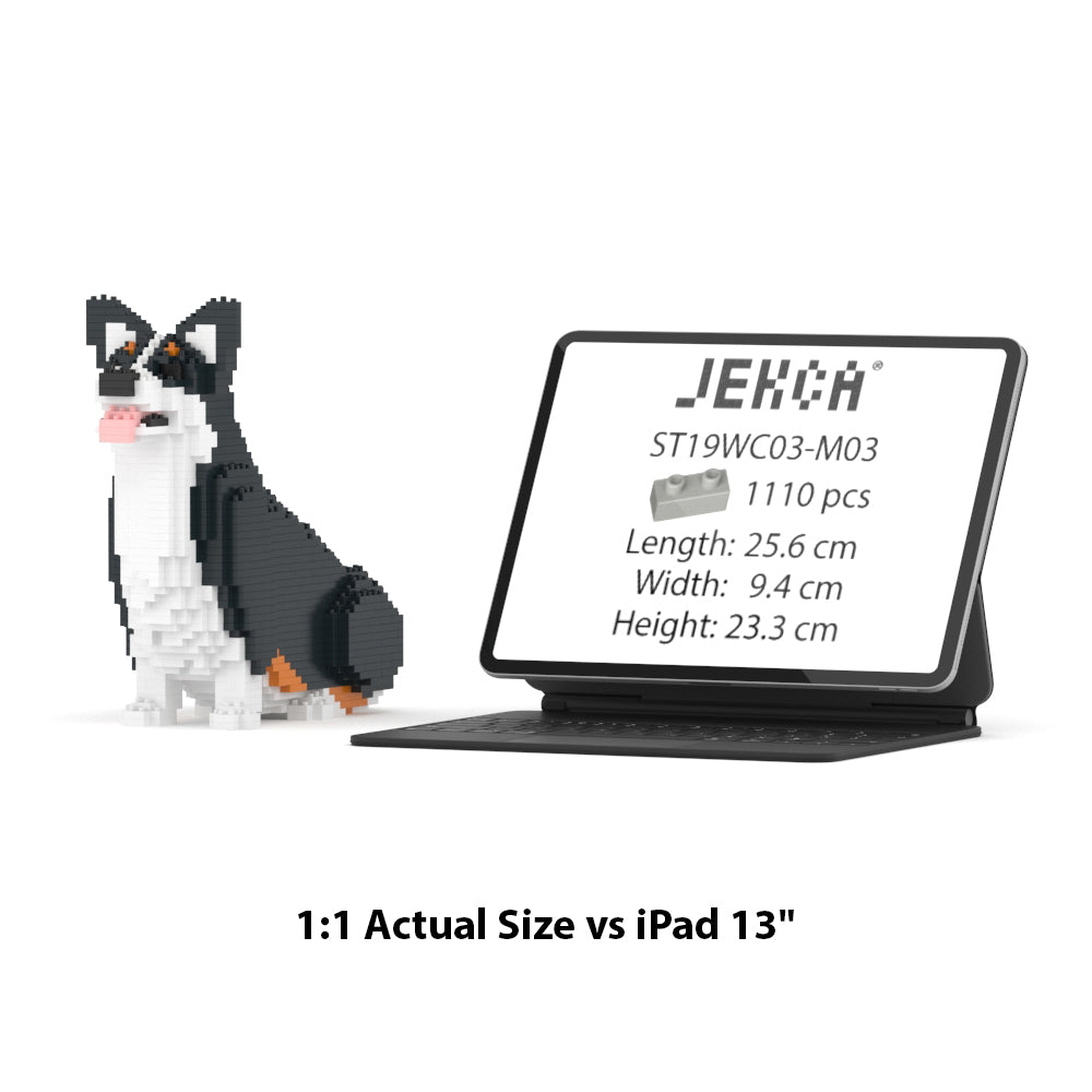 Chien Welsh Corgi assis noir