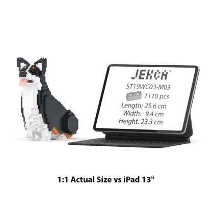 Chien Welsh Corgi assis noir