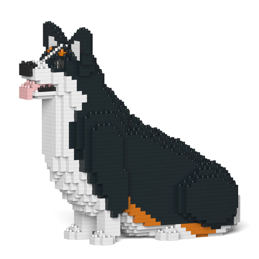 Chien Welsh Corgi assis noir