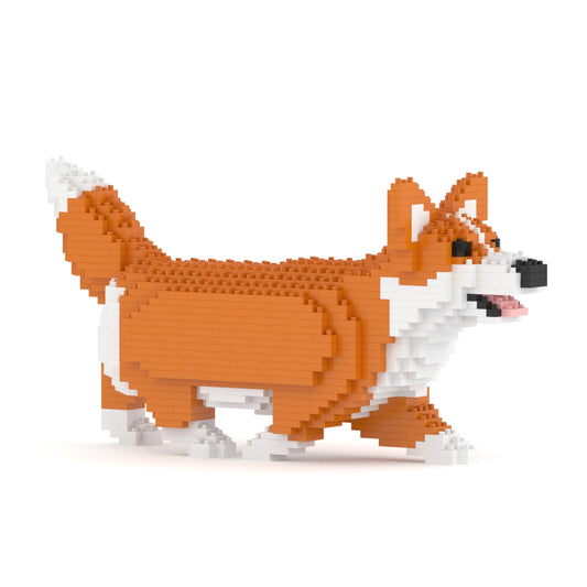 Chien Welsh Corgi qui marche roux