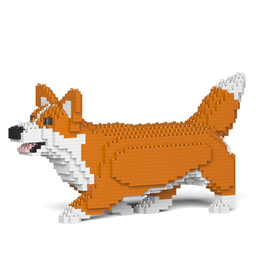 Chien Welsh Corgi qui marche roux