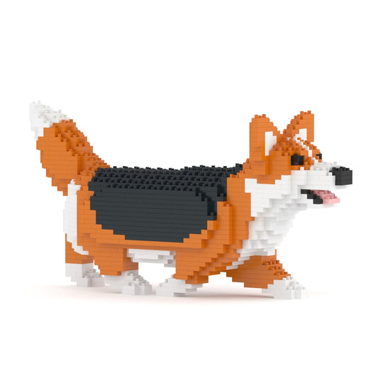 Chien Welsh Corgi qui marche roux et noir