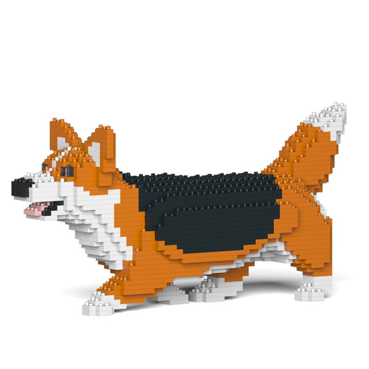 Chien Welsh Corgi qui marche roux et noir