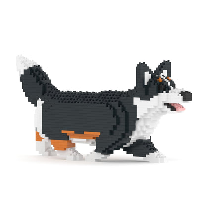 Chien Welsh Corgi qui marche noir
