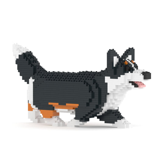 Chien Welsh Corgi qui marche noir