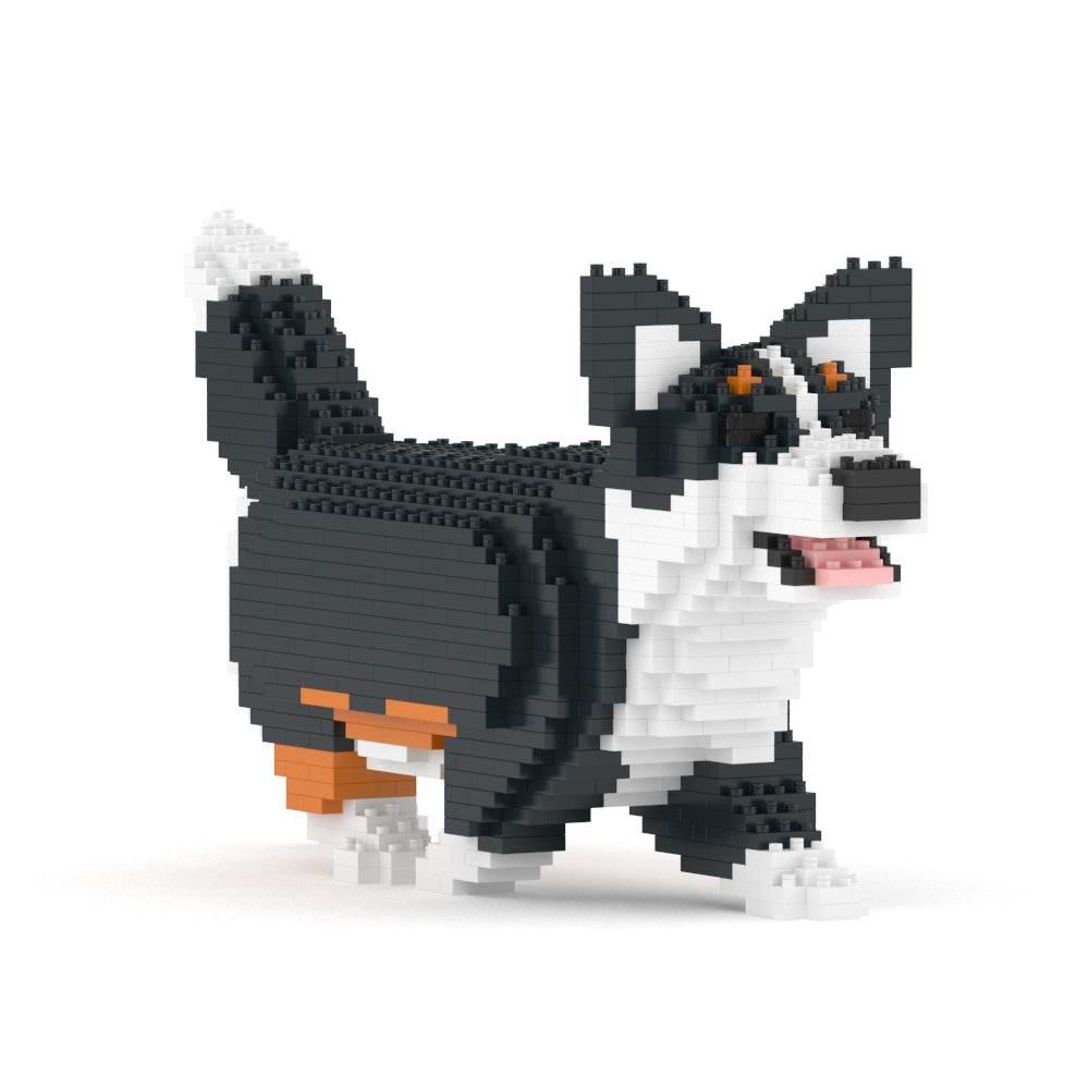 Chien Welsh Corgi qui marche noir
