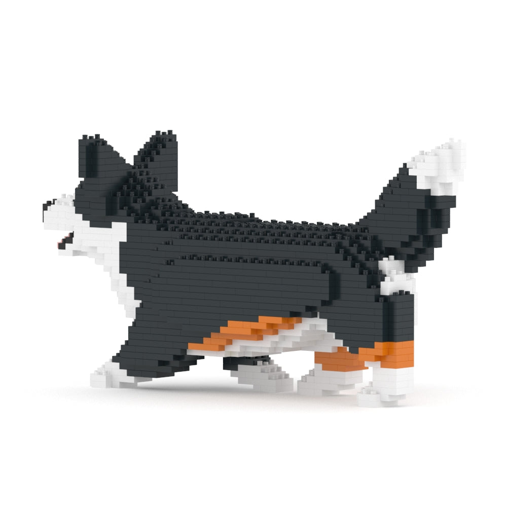 Chien Welsh Corgi qui marche noir