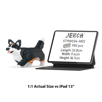 Chien Welsh Corgi qui marche noir