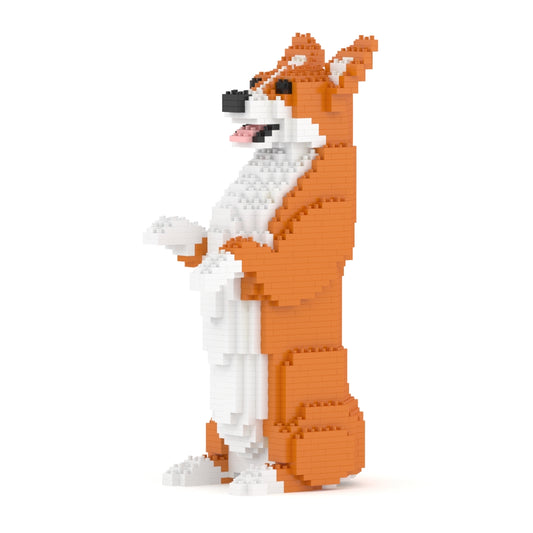Chien Welsh Corgi debout roux