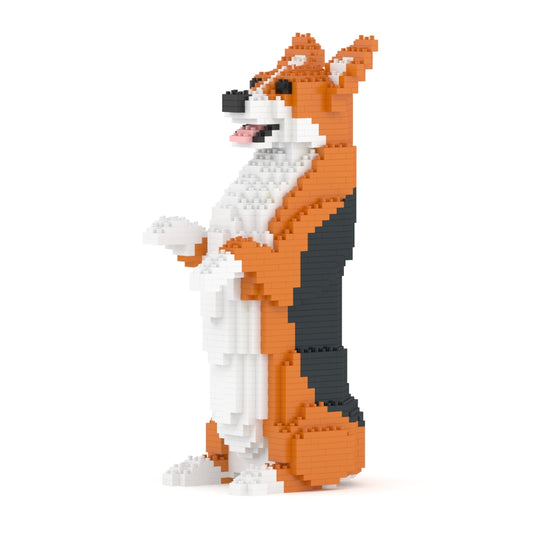 Chien Welsh Corgi debout roux et noir