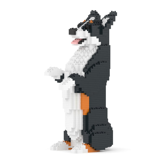 Chien Welsh Corgi debout noir