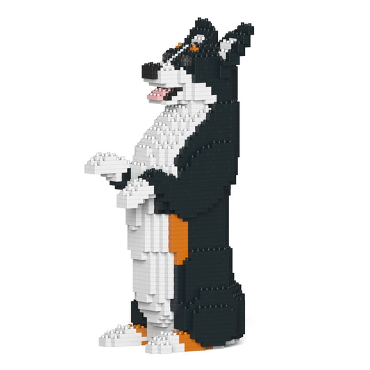 Chien Welsh Corgi debout noir