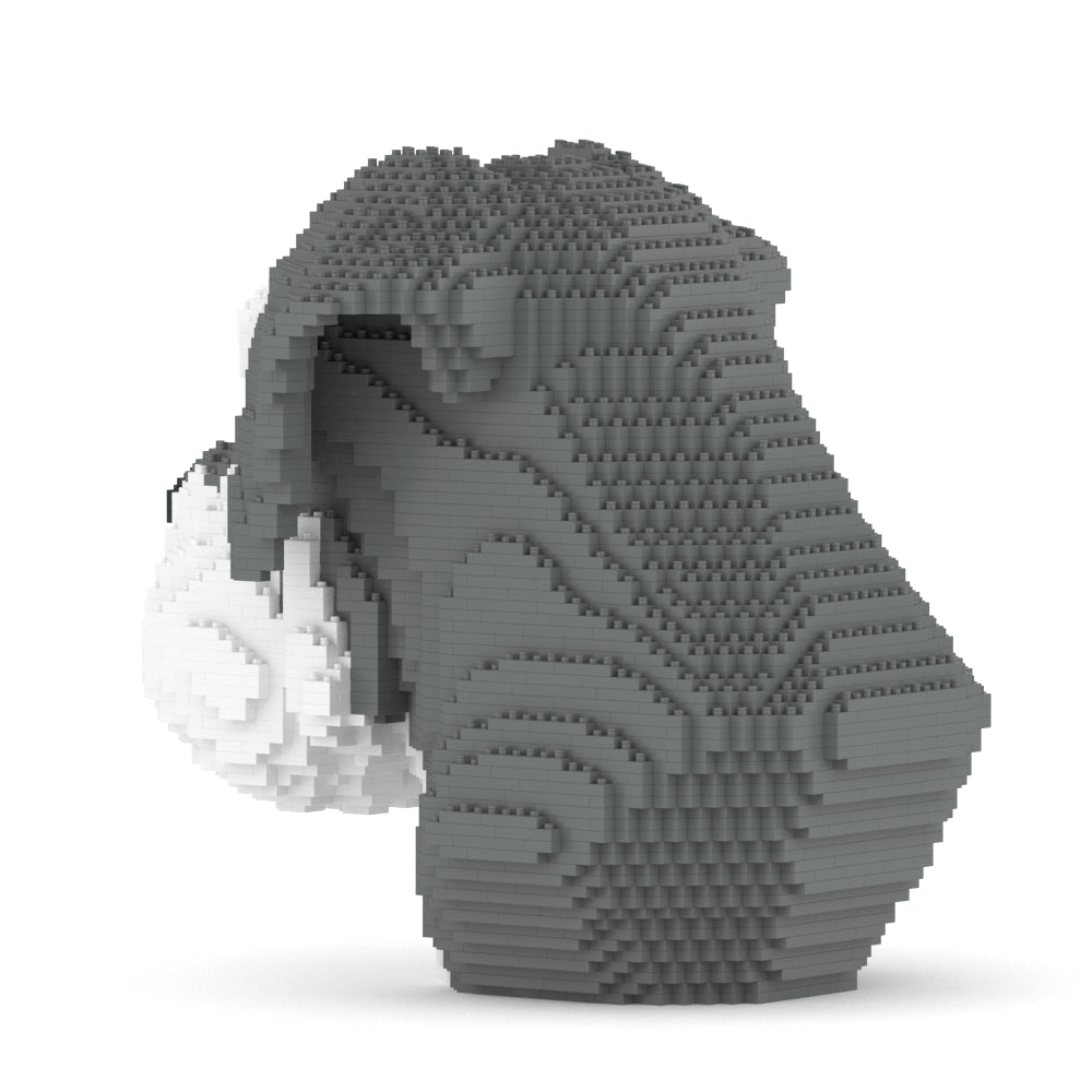 Buste de Schnauzer 01