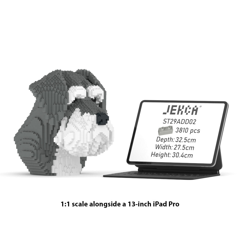 Buste de Schnauzer 01